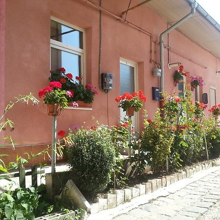Center Park Apartment Cluj-Napoca Eksteriør billede