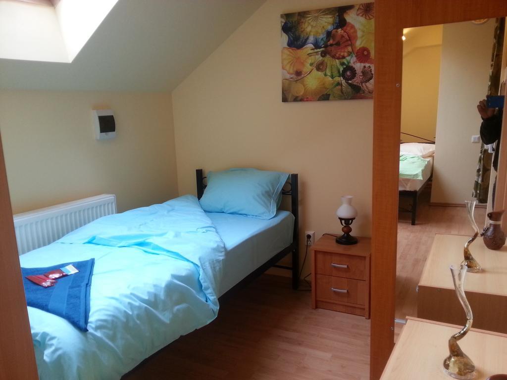 Center Park Apartment Cluj-Napoca Værelse billede