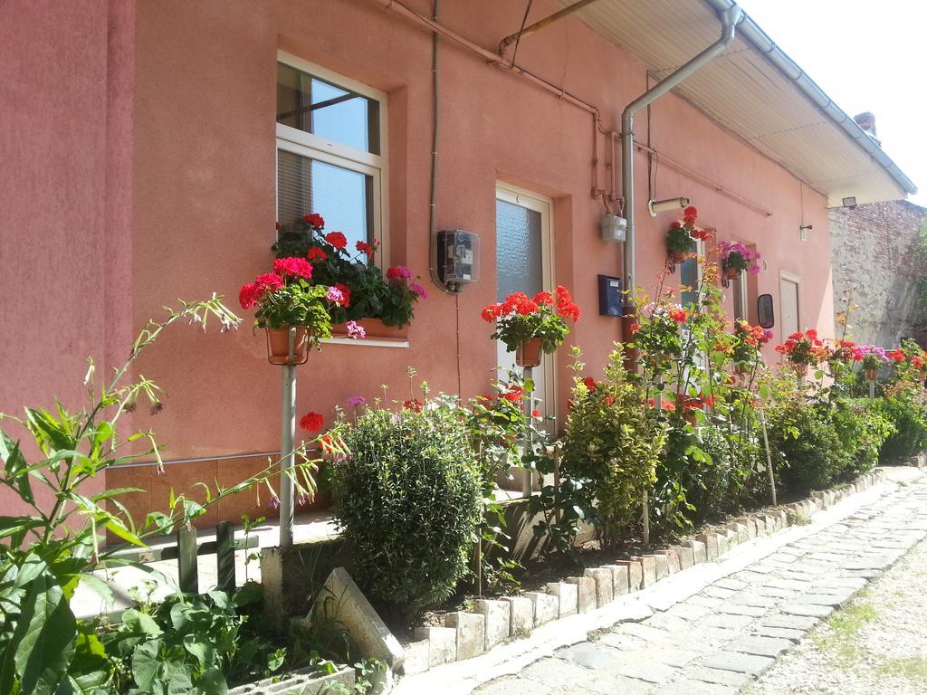 Center Park Apartment Cluj-Napoca Eksteriør billede