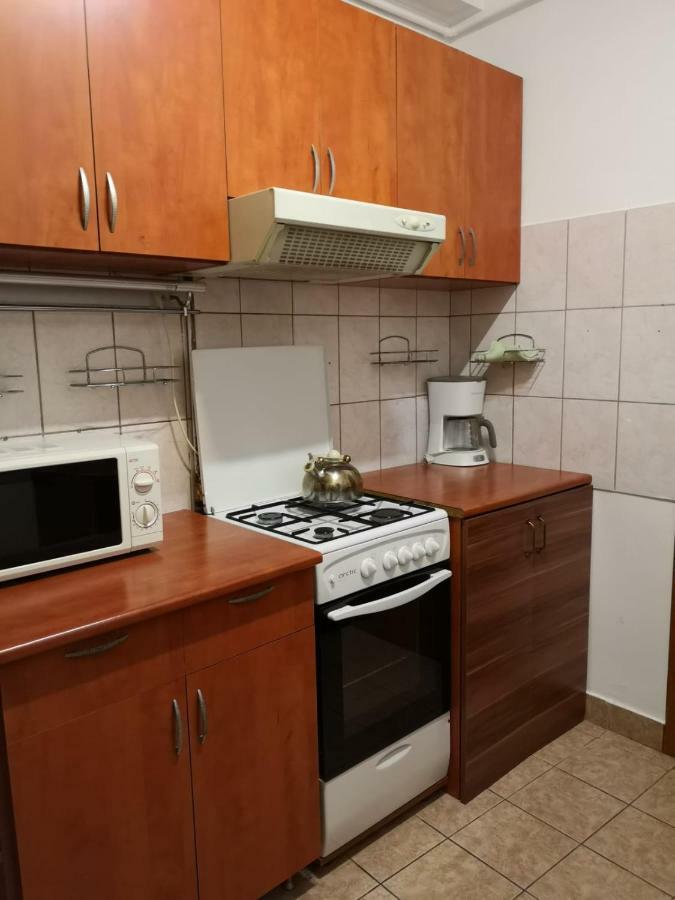 Center Park Apartment Cluj-Napoca Eksteriør billede